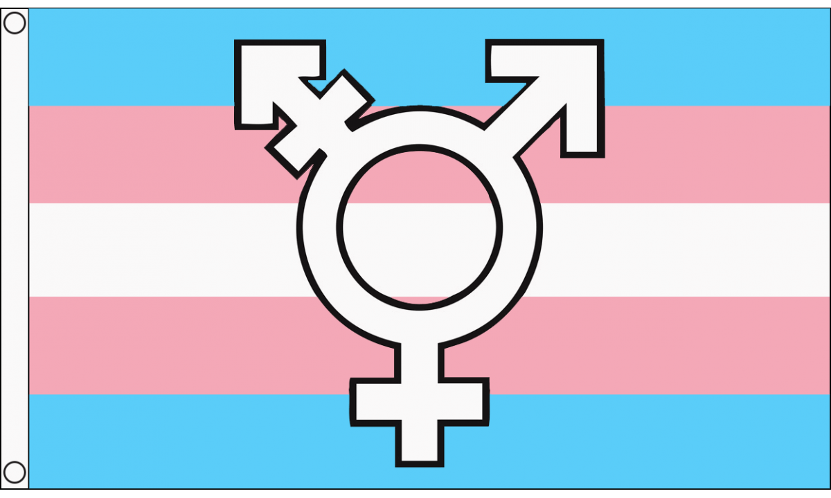 Trans Flag Badge – The Bookish Type